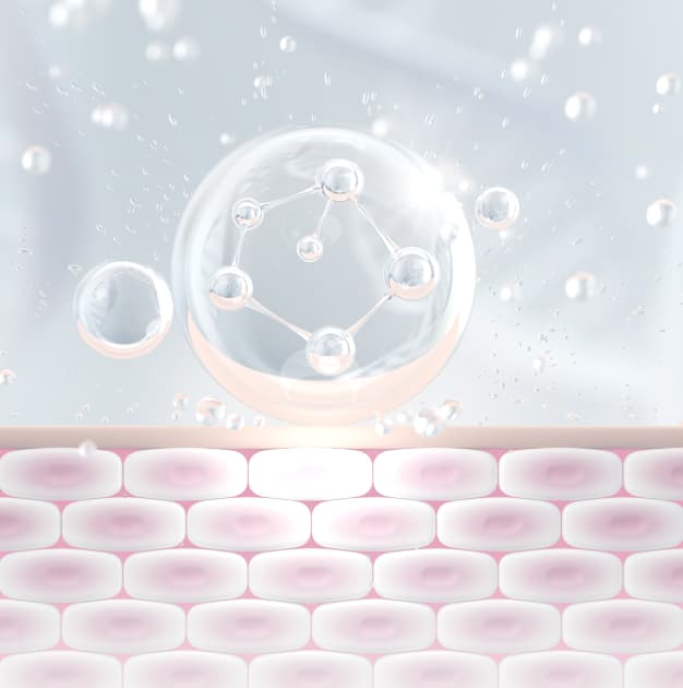 โปรแกรม
นอนไม่หลับ